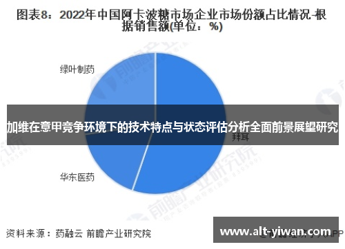 加维在意甲竞争环境下的技术特点与状态评估分析全面前景展望研究